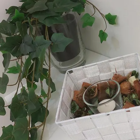 Bed & Breakfast La Maison De Cavour